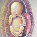Soft Pastel drawing of preterm baby 20 weeks of life
